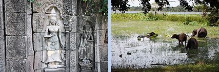 Prasat Damrei Devatas and Baray of Preah Khan Kampong Svay