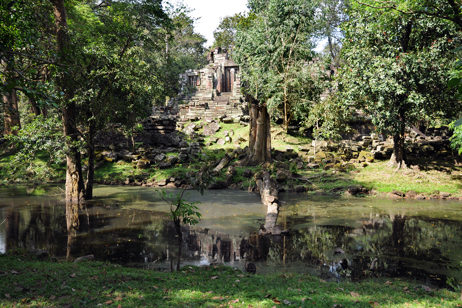 Preah Pithu edifice V (484)
