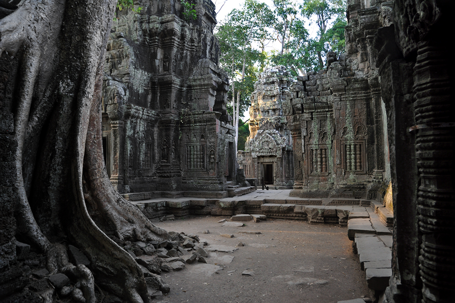 Ta Prohm "jungle temple"